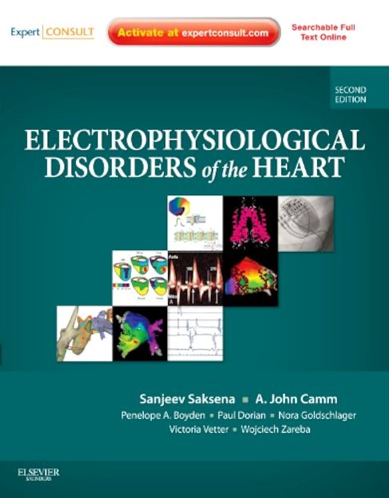 健康・医学 Electrophysiological Maneuvers Electrophysiological Maneuvers for Arrhythmia Analysis